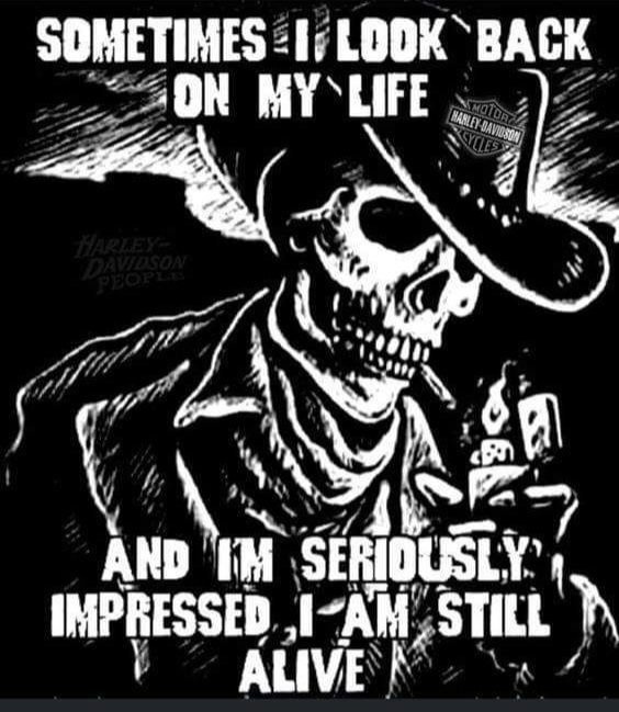 FB_IMG_1708231149102.jpg.735d6e84048f98688364bc3fa5f8be71.jpg