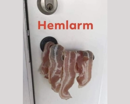 hemlarm.png.48502b0ebbe7e88d3280f0bf90616531.png