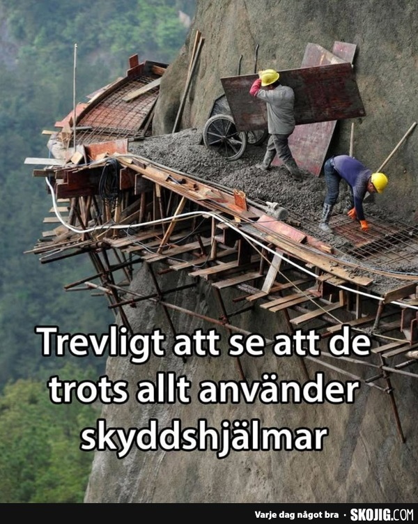 image.png.98ccdcb4581413ed87cf6751363e76f6.png