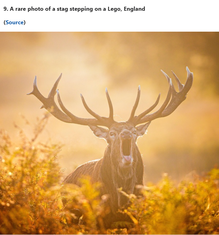 image.png.0917d591584a0595756972c4b585c764.png